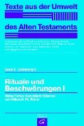 Rituale und Beschwörungen I - Walter Farber, Hans Martin Kümmel, Willem H. Ph. Römer
