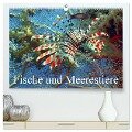 Fische und Meerestiere (hochwertiger Premium Wandkalender 2024 DIN A2 quer), Kunstdruck in Hochglanz - Elisabeth Stanzer