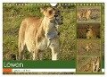 Löwen - gross und klein (Wandkalender 2024 DIN A4 quer), CALVENDO Monatskalender - Susan Michel