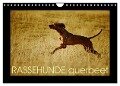 RASSEHUNDE querbeet (Wandkalender 2024 DIN A4 quer), CALVENDO Monatskalender - Kathrin Köntopp