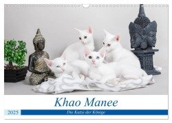 Khao Manee - Die Katze der Könige (Wandkalender 2025 DIN A3 quer), CALVENDO Monatskalender - Fotodesign Verena Scholze