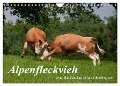 Alpenfleckvieh (Wandkalender 2024 DIN A4 quer), CALVENDO Monatskalender - Karolina Gasteiger