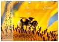 Im Goldenen Glanz der Sonnenblume (Wandkalender 2024 DIN A4 quer), CALVENDO Monatskalender - Danica Krunic