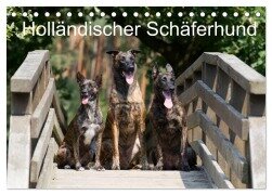 Holländischer Schäferhund (Tischkalender 2025 DIN A5 quer), CALVENDO Monatskalender - Fotodesign Verena Scholze