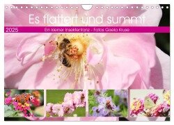 Es flattert und summt Ein kleiner Insektentanz (Wandkalender 2025 DIN A4 quer), CALVENDO Monatskalender - Gisela Kruse