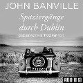 Spaziergänge durch Dublin - John Banville