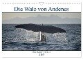 Die Wale von Andenes (Wandkalender 2025 DIN A4 quer), CALVENDO Monatskalender - Stefan Leimer