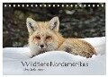 Wildtiere Nordamerikas (Tischkalender 2024 DIN A5 quer), CALVENDO Monatskalender - Ursula Salzmann