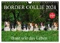 Border Collie 2024 (Wandkalender 2024 DIN A4 quer), CALVENDO Monatskalender - Sigrid Starick