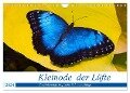 Kleinode der Lüfte - Faszinierende tropische Schmetterlinge (Wandkalender 2024 DIN A4 quer), CALVENDO Monatskalender - Armin Maywald