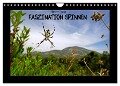 Faszination Spinnen (Wandkalender 2024 DIN A4 quer), CALVENDO Monatskalender - Benny Trapp