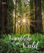 Augenblicke im Wald 2026 - 