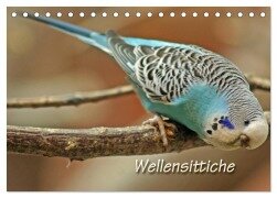 Wellensittiche (Tischkalender 2025 DIN A5 quer), CALVENDO Monatskalender - Barbara Mielewczyk