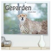 Geparden - schnelle Jäger (hochwertiger Premium Wandkalender 2026 DIN A2 quer), Kunstdruck in Hochglanz - Robert Styppa