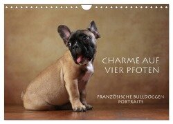 Charme auf vier Pfoten - Französische Bulldoggen Portraits (Wandkalender 2025 DIN A4 quer), CALVENDO Monatskalender - Jana Behr