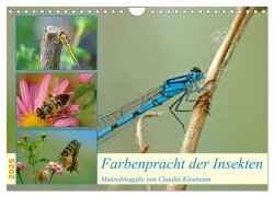 Farbenpracht der Insekten (Wandkalender 2025 DIN A4 quer), CALVENDO Monatskalender - Claudia Kleemann