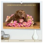 Liebenswerter Labrador 2025 (hochwertiger Premium Wandkalender 2025 DIN A2 quer), Kunstdruck in Hochglanz - Annett Mirsberger