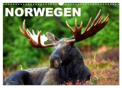 Norwegen (Wandkalender 2025 DIN A3 quer), CALVENDO Monatskalender - Elisabeth Stanzer