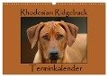 Rhodesian Ridgeback Terminkalender (Wandkalender 2024 DIN A3 quer), CALVENDO Monatskalender - Anke van Wyk - www. germanpix. net