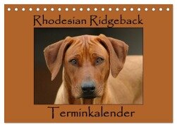Rhodesian Ridgeback Terminkalender (Tischkalender 2025 DIN A5 quer), CALVENDO Monatskalender - Anke van Wyk - www. germanpix. net