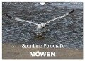 Spontane Fotografie - Möwen (Wandkalender 2024 DIN A4 quer), CALVENDO Monatskalender - Melanie Mp