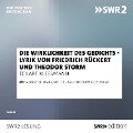 Die Wirklichkeit des Gedichts - Lyrik von Friedrich Rückert und Theodor Storm - Eckart Kleßmann, Friedrich Rückert, Theodor Storm