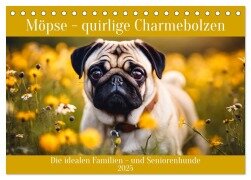 Möpse - quirlige Charmebolzen (Tischkalender 2025 DIN A5 quer), CALVENDO Monatskalender - Claudia Kleemann