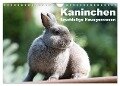 Kaninchen - knuddelige Hausgenossen (Wandkalender 2024 DIN A4 quer), CALVENDO Monatskalender - Fotodesign Verena Scholze