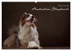 Charmante Australian Shepherds (Wandkalender 2026 DIN A2 quer), CALVENDO Monatskalender - Jana Behr