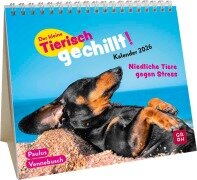 Mini-Kalender 2026: Der kleine Tierisch gechillt! Kalender - Paulus Vennebusch