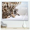 Die Bengalkatze. Edition Jungtiere (hochwertiger Premium Wandkalender 2024 DIN A2 quer), Kunstdruck in Hochglanz - Sylvio Banker
