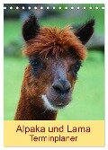 Alpaka und Lama Terminplaner (Tischkalender 2024 DIN A5 hoch), CALVENDO Monatskalender - Kattobello Kattobello