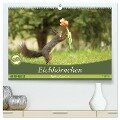Eichhörnchen - Kleine Fotostars (hochwertiger Premium Wandkalender 2024 DIN A2 quer), Kunstdruck in Hochglanz - Birgit Cerny