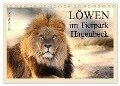 Löwen im Tierpark Hagenbeck (Tischkalender 2024 DIN A5 quer), CALVENDO Monatskalender - Ramona Meißner