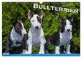 Cover-Bild zum Titel 'Bullterrier (Wandkalender 2024 DIN A3 quer), CALVENDO Monatskalender' von 'Bullterrier Bullterrier'