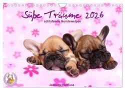 Cover-Bild zum Titel 'Süße Träume 2026 - schlafende Hundewelpen (Wandkalender 2026 DIN A4 quer), CALVENDO Monatskalender' von 'Jeanette Hutfluss'