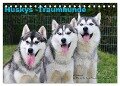 Huskys - Traumhunde (Tischkalender 2024 DIN A5 quer), CALVENDO Monatskalender - Michael Ebardt