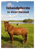 Islandpferde in ihrer Heimat (Wandkalender 2024 DIN A3 hoch), CALVENDO Monatskalender - Winfried Rusch