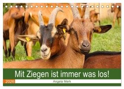Mit Ziegen ist immer was los! (Tischkalender 2026 DIN A5 quer), CALVENDO Monatskalender - Angela Merk