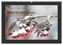 Winterzauber - Tiere in Eis und Schnee (Wandkalender 2026 DIN A2 quer), CALVENDO Monatskalender - Günter Bachmeier