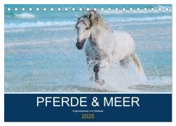 PFERDE & MEER (Tischkalender 2025 DIN A5 quer), CALVENDO Monatskalender - Petra Eckerl Tierfotografie