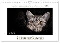 Zauberhafte Kätzchen (Wandkalender 2024 DIN A4 quer), CALVENDO Monatskalender - Martina Wrede