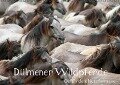 Dülmener Wildpferde - Gefährdete Nutztierrasse (Wandkalender immerwährend DIN A2 quer) - Barbara Mielewczyk