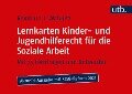 Lernkarten Kinder- und Jugendhilferecht für die Soziale Arbeit - Reinhard J. Wabnitz