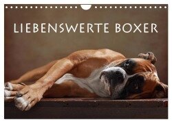 Liebenswerte Boxer (Wandkalender 2025 DIN A4 quer), CALVENDO Monatskalender - Jana Behr