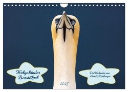 Helgoländer Basstölpel 2025 (Wandkalender 2025 DIN A4 quer), CALVENDO Monatskalender - Annett Mirsberger