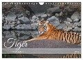 Tiger von Ranthambore (Wandkalender 2025 DIN A4 quer), CALVENDO Monatskalender - Robert Styppa
