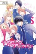 Cover-Bild zum Titel 'Waiting for Spring 13' von 'Anashin'