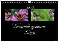Schmetterlinge unserer Region (Wandkalender 2024 DIN A4 quer), CALVENDO Monatskalender - Diana Schröder
