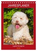 Cover-Bild zum Titel 'Jahresplaner Lagotto Romagnolo (Tischkalender 2026 DIN A5 hoch), CALVENDO Monatskalender' von 'Sigrid Starick'